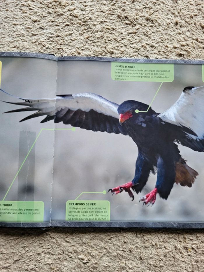 Livre documentaire enfants Zoom sur les animaux d'Afrique - photo numéro 6