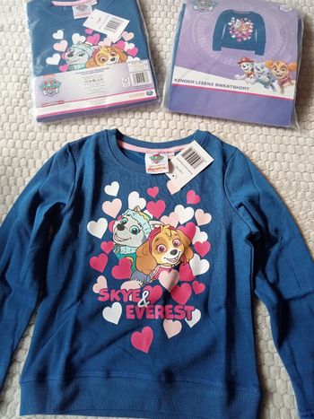 Un Pull paw patrol 7/8ans