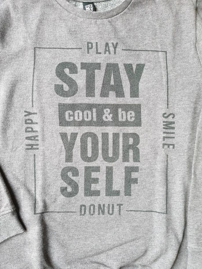 Sweat shirt 14 ans garçon - photo numéro 3