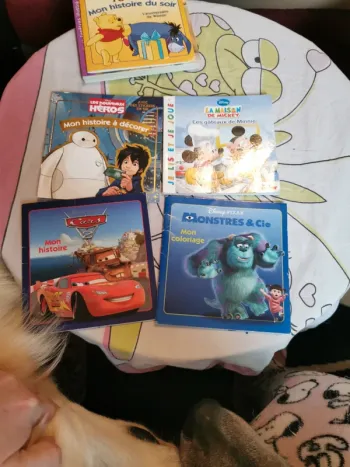 Lot de 4 livres Disney