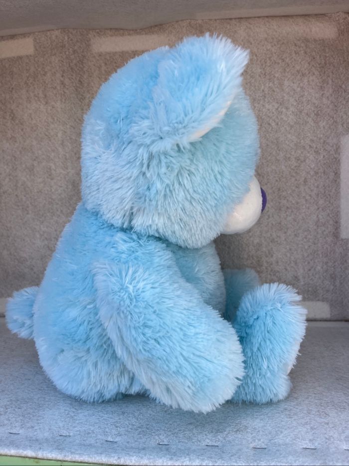 Ours bleu - photo numéro 4