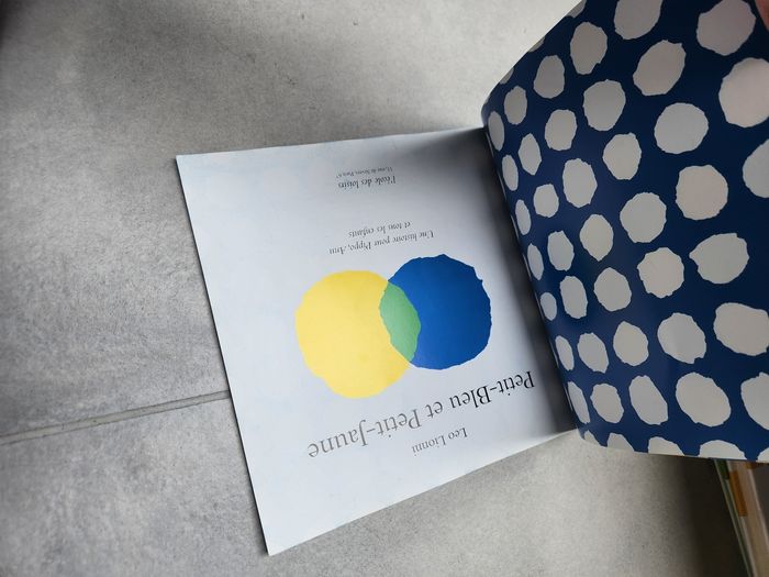 Livre enfant souple : Petit bleu et petit jaune - photo numéro 7