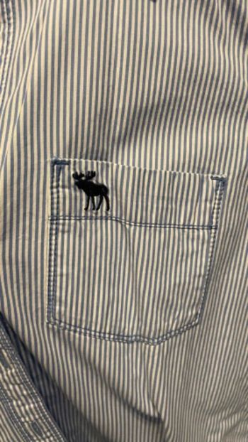Chemise rayée bleue Abercrombie M