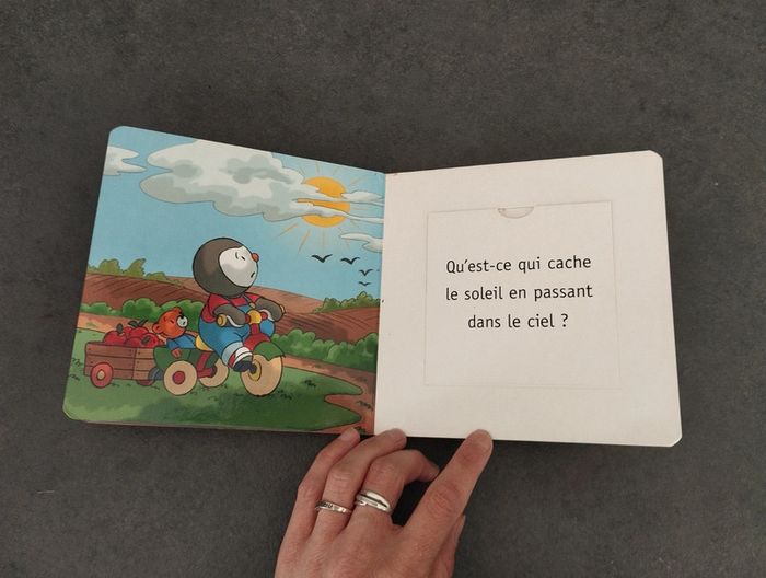 Livre découvre le temps qu'il fait avec T'choupi - photo numéro 10