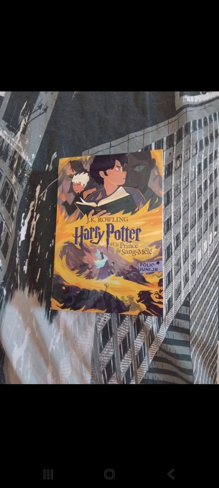 Livre harry potter - photo numéro 6