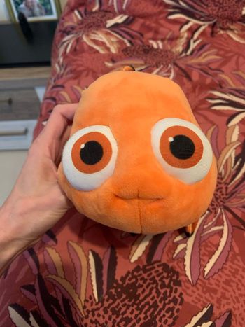 Peluche