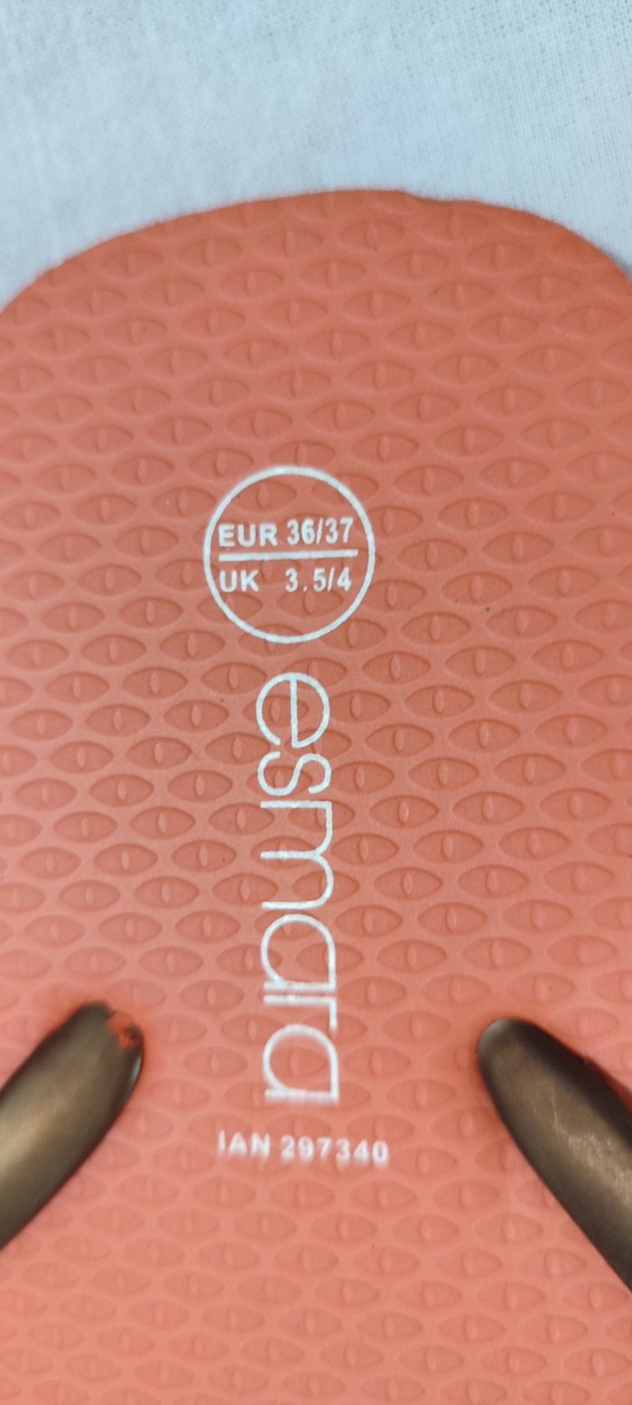 Tangue 36-37 - photo numéro 2