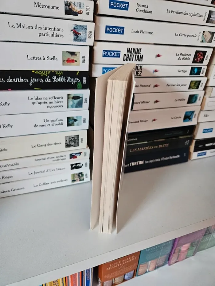 Livre Le bal des folles - photo numéro 3