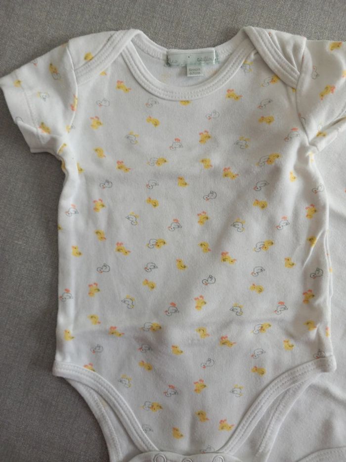 Lot 2 bodies mixte 6 mois TBE - photo numéro 2