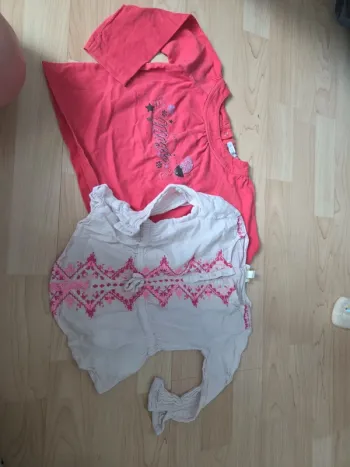 Lot 2 tee shirt 2ans fille