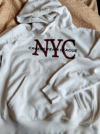 Sweat capuche homme. Marque Creeks (A74)