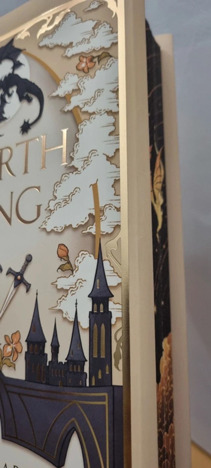 Fourth Wing limited + Goodies - photo numéro 9