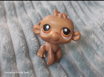 Petshop singe 256