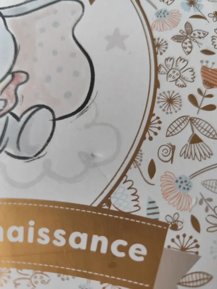Mon livre de naissance Dumbo Disney - photo numéro 2