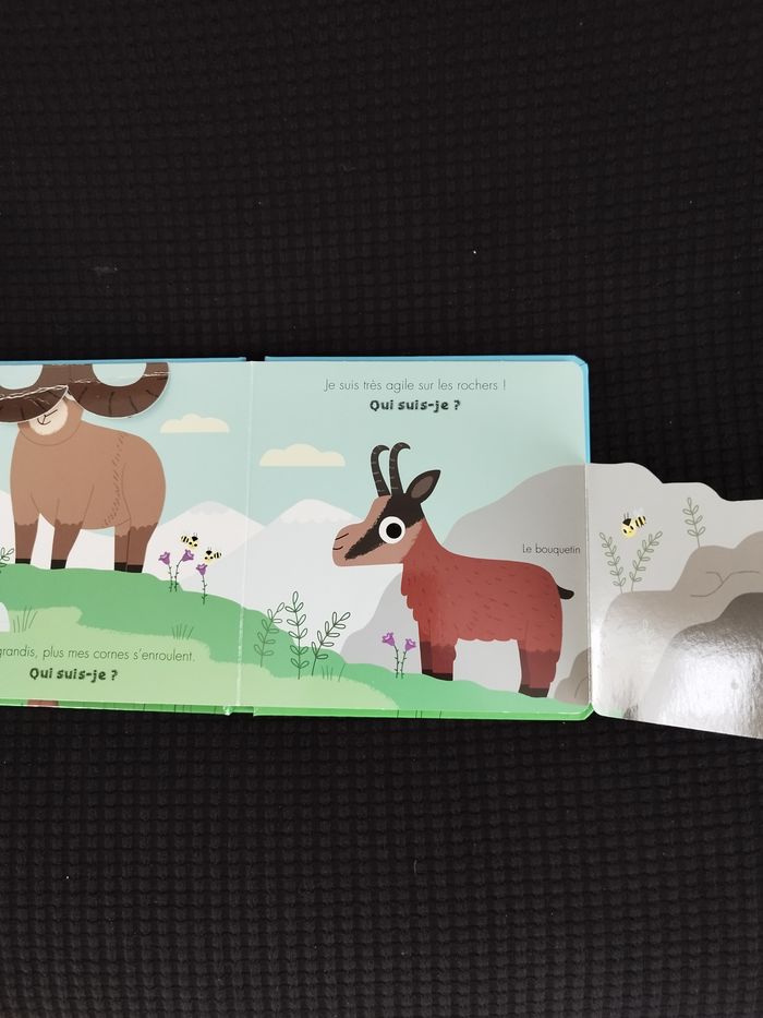 Livre cartonné Qui suis-je ? - photo numéro 3