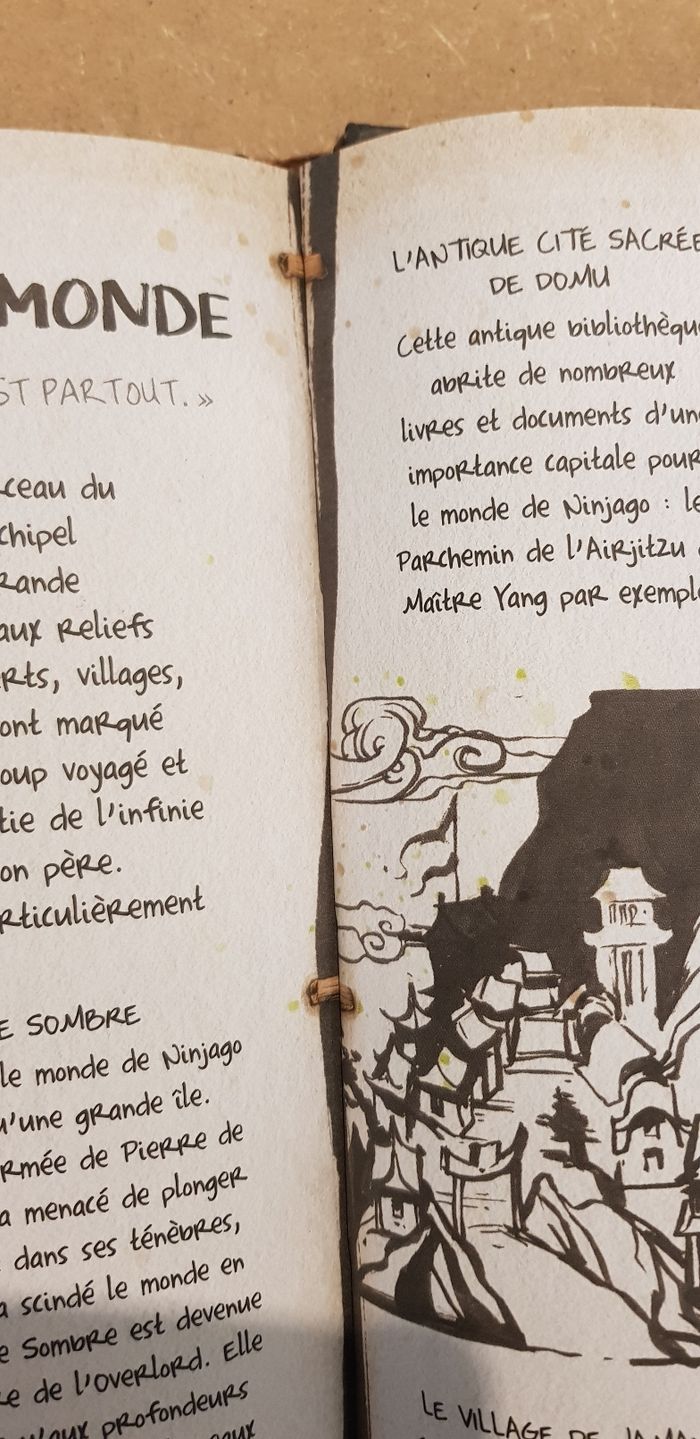 Livre du Spinjutzu - Ninjago - photo numéro 8