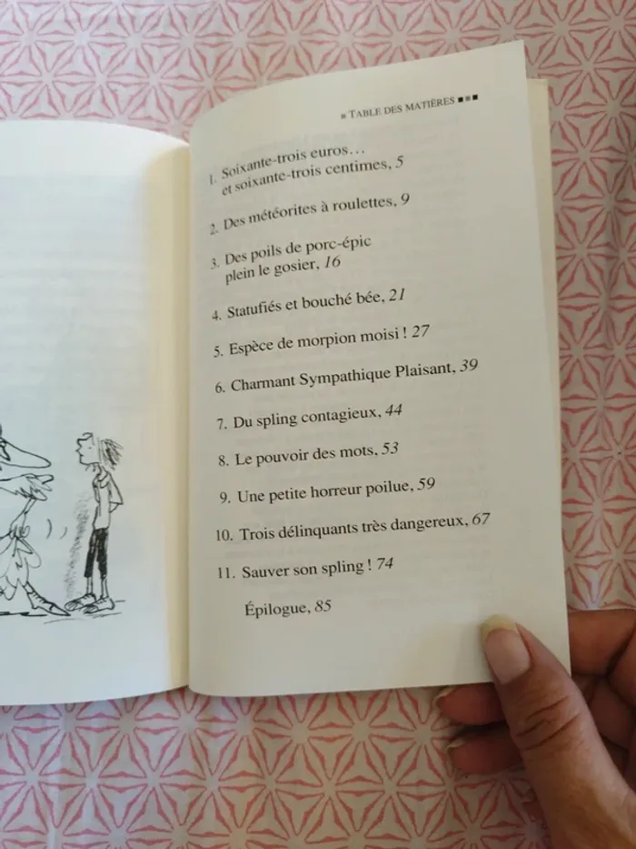 🔴Une fabuleuse femme de ménage - photo numéro 5