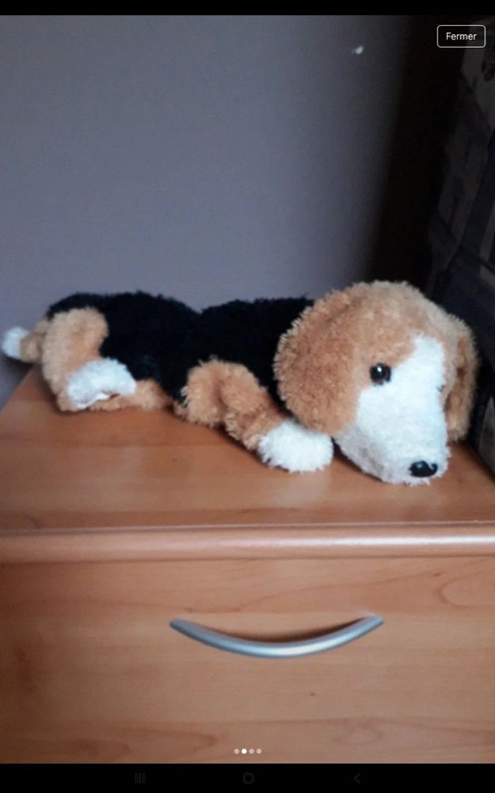 Chien interactif - photo numéro 2
