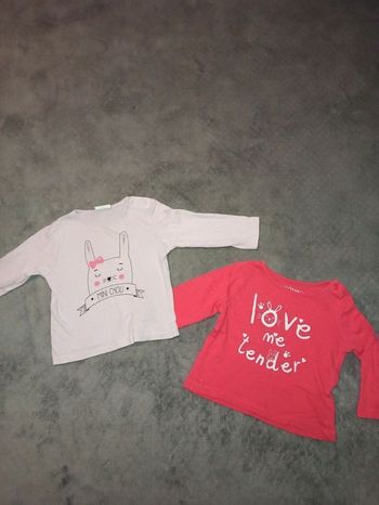 Lot de 2 tee shirt ML 6 mois "' lapin 🐰"