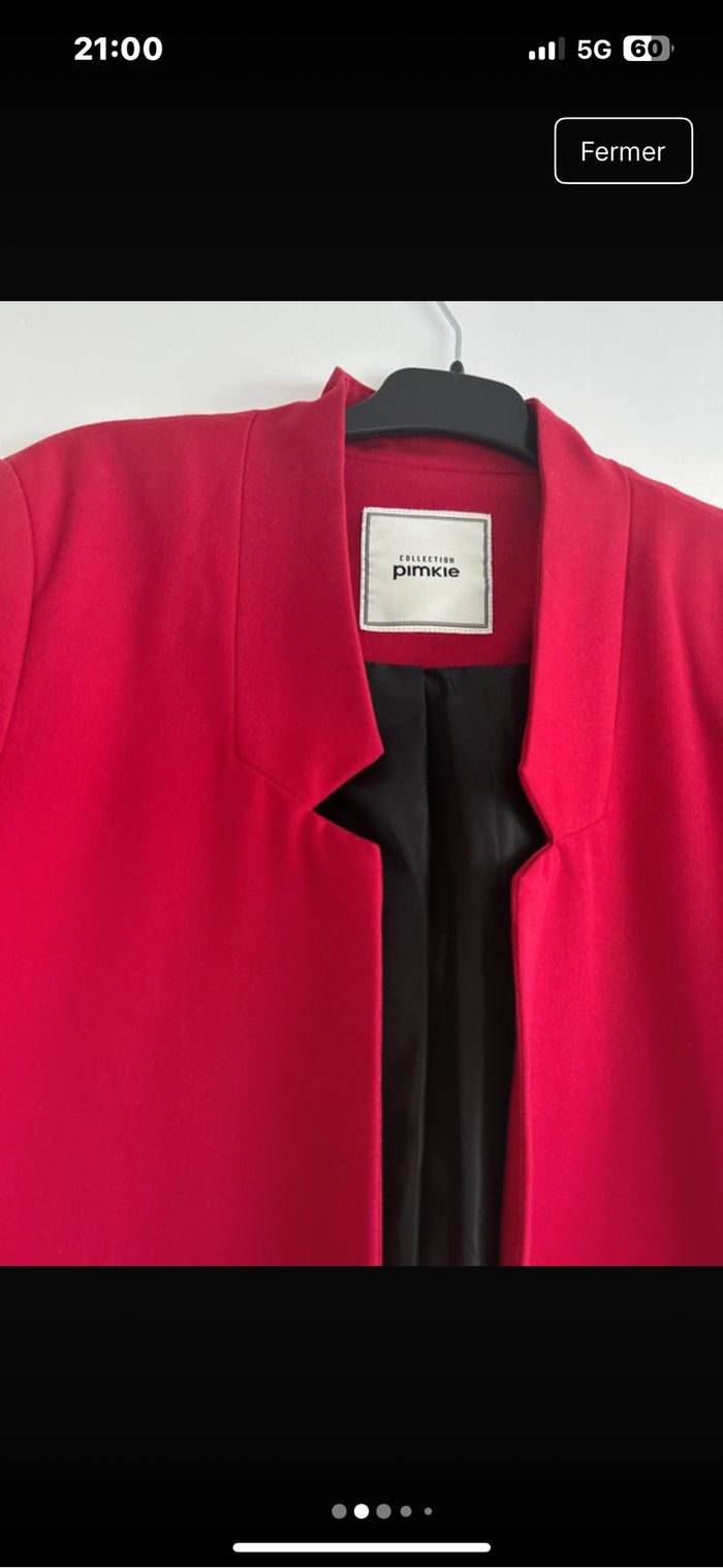 Blaser femme pimike - photo numéro 2