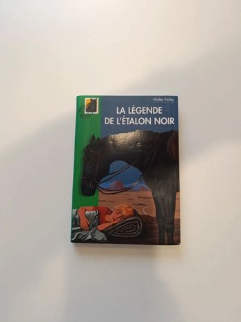 Livre "la légende de l'étalon noir"
