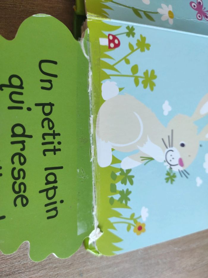 Mes animaux - photo numéro 4