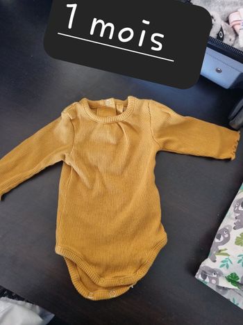 Bodie 1 mois