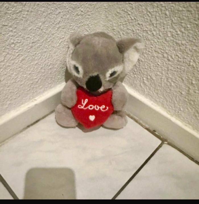 Peluche koala🧸