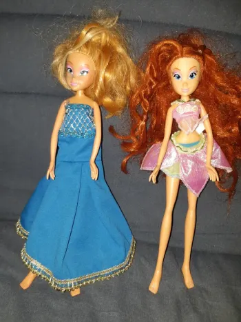 Lot Winx