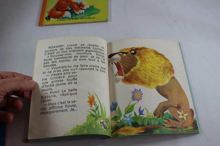 Anciens Livres enfants 70s Malheurs de Sophie, Petit Goupil et Souricette - photo numéro 9