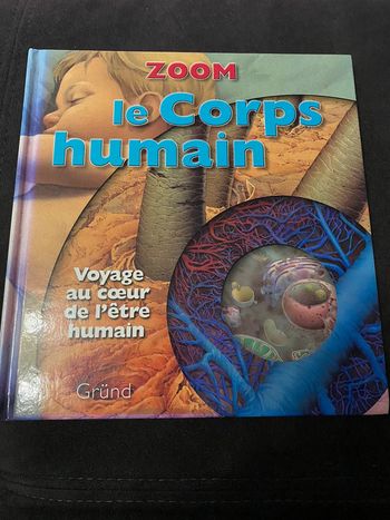 Zoom 🌸 le corps humain