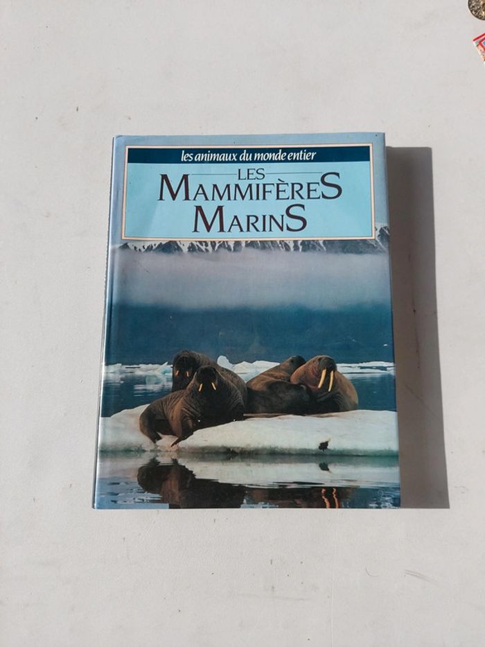 Les mammifères marins