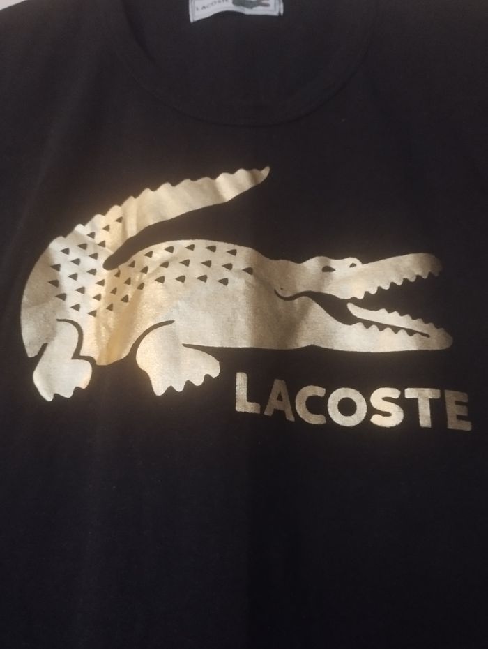 Robe crocodile - photo numéro 2