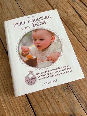 200 recettes pour bébé