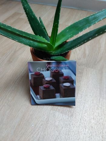 Livre délices en chocolat