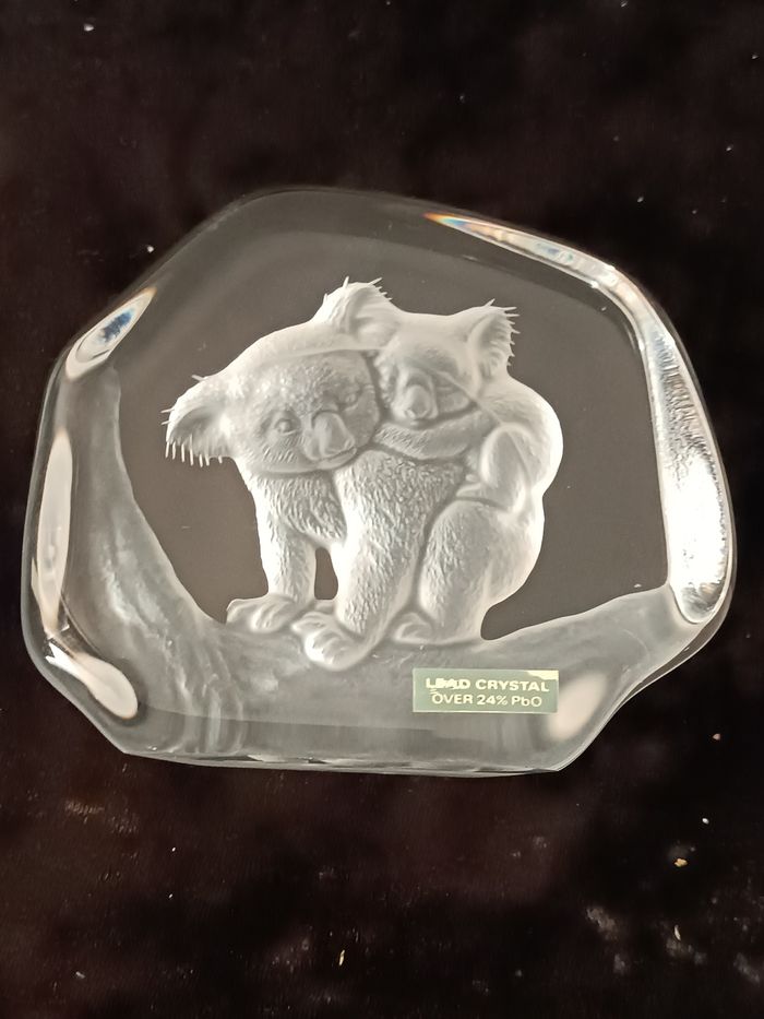 Koalas cristal - photo numéro 10