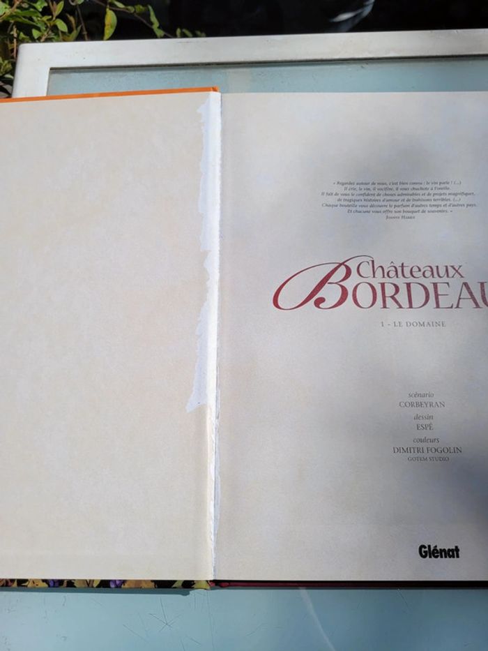 BD Châteaux Bordeaux, Tome 1, Le Domaine - photo numéro 8