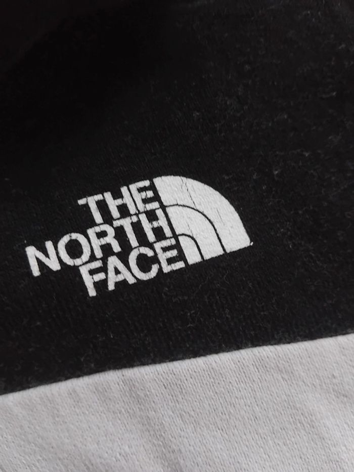 Sweat à capuche The Noth Face - photo numéro 4