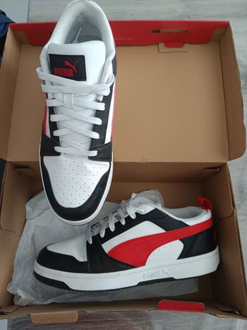 Baskets Puma homme 43