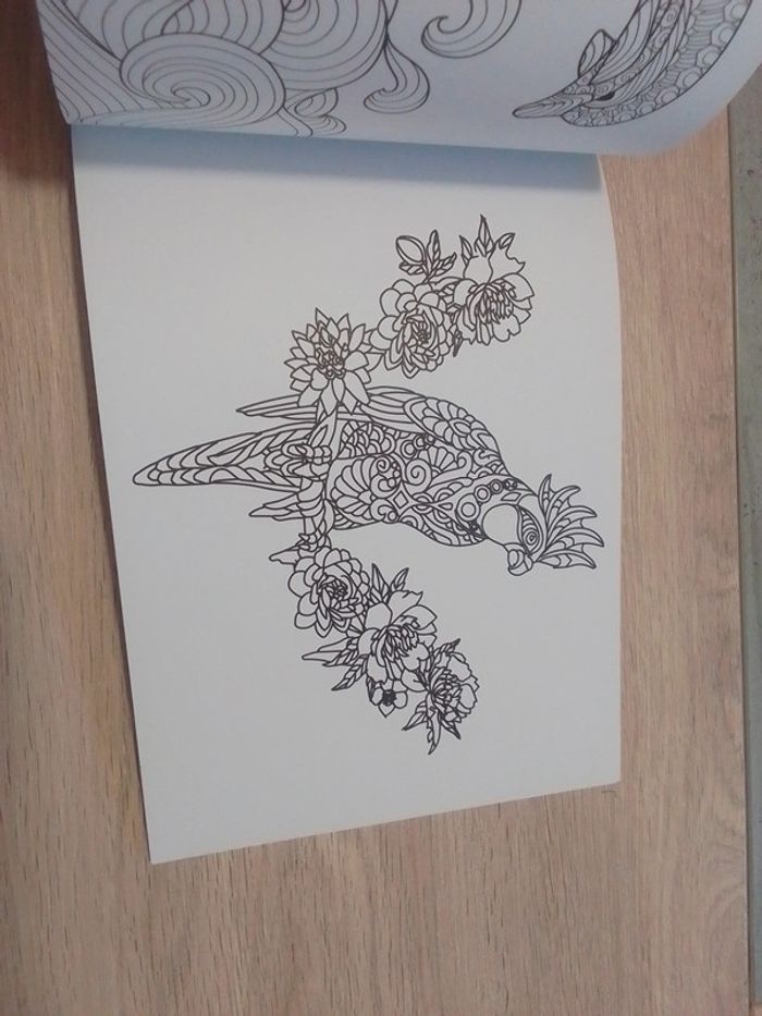Livre coloriage - photo numéro 3