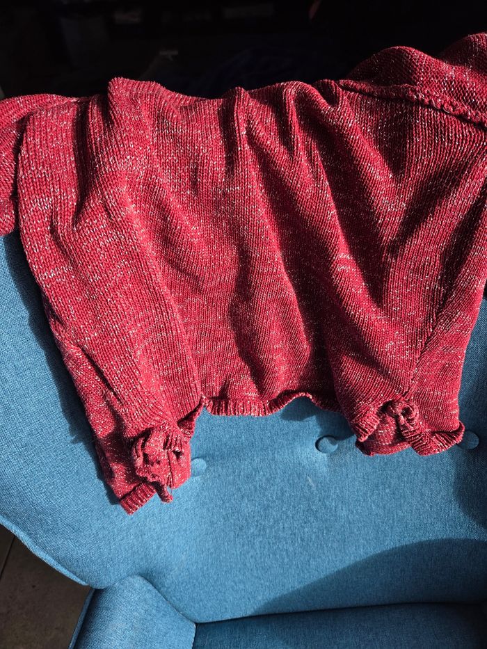 Gilet - photo numéro 4