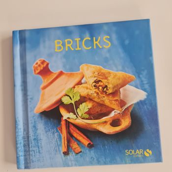 Livre sur les bricks