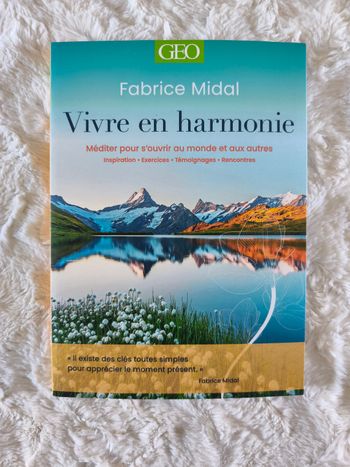 Vivre en harmonie Fabrice Midal Geo