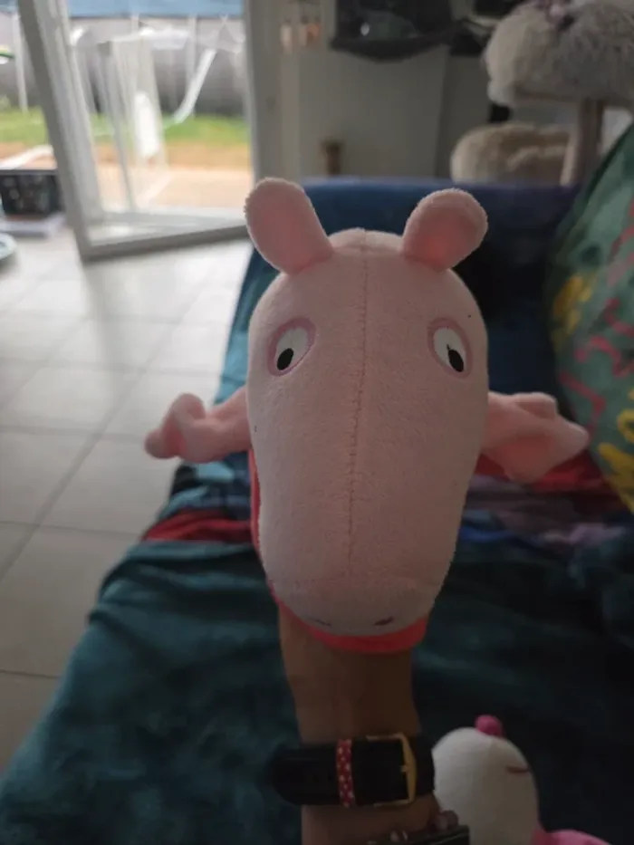 Lot de marionnettes peppa pig - photo numéro 7
