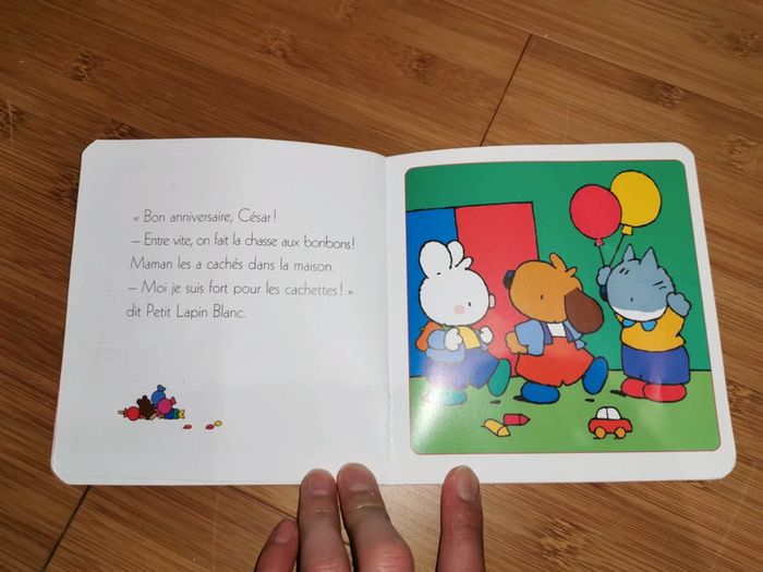 Petit Lapin Blanc est un coquin - photo numéro 10