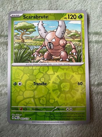Scarabrute