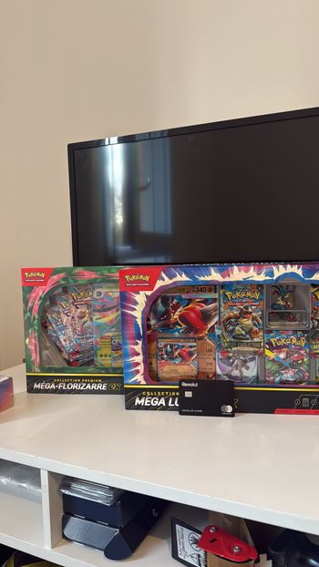 Lot 2 Coffrets Mega lucario / mega florizarre