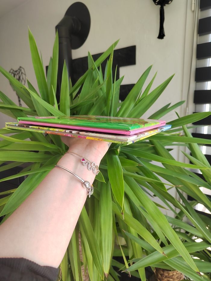 Lot de 2 livres sur les  chevaux pour enfant - photo numéro 4