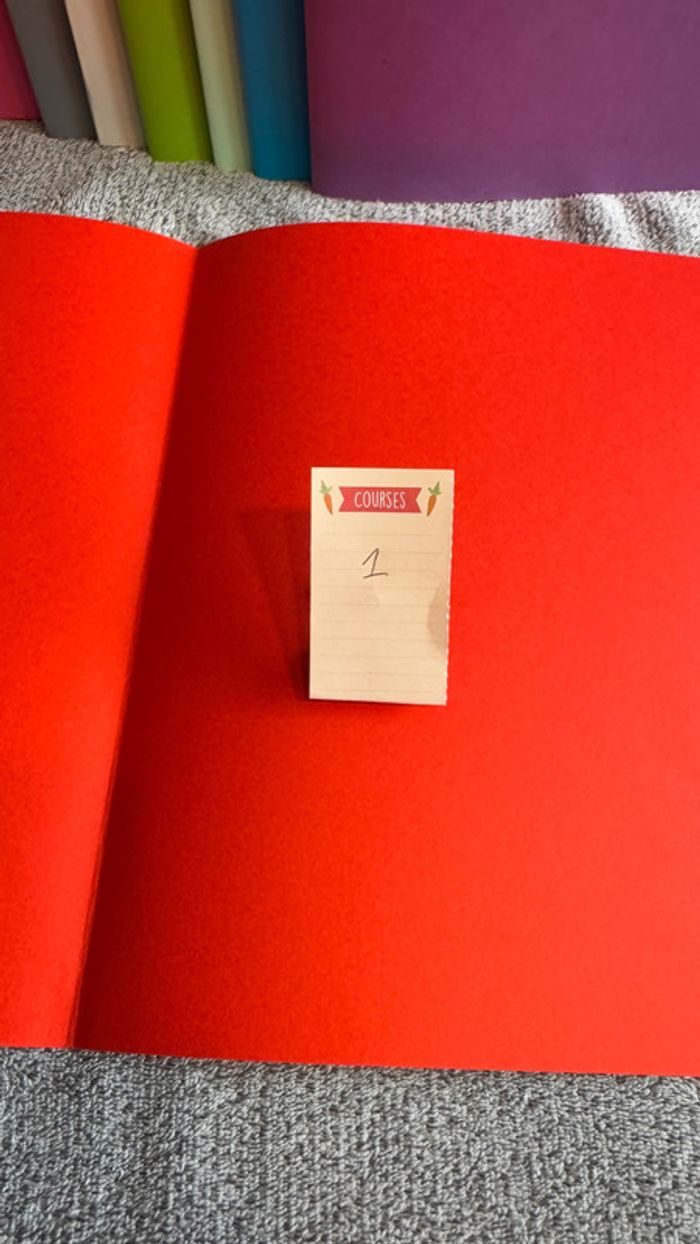 Ensemble de 1 chemise rigides rouge - photo numéro 4