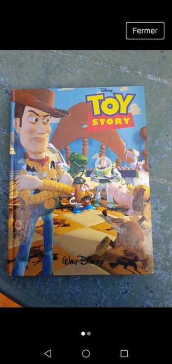 Magnifique livre toy story disney